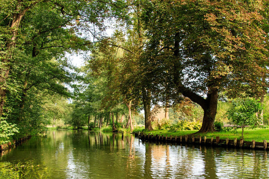 Kanal im Spreewald umrahmt von Bäumen