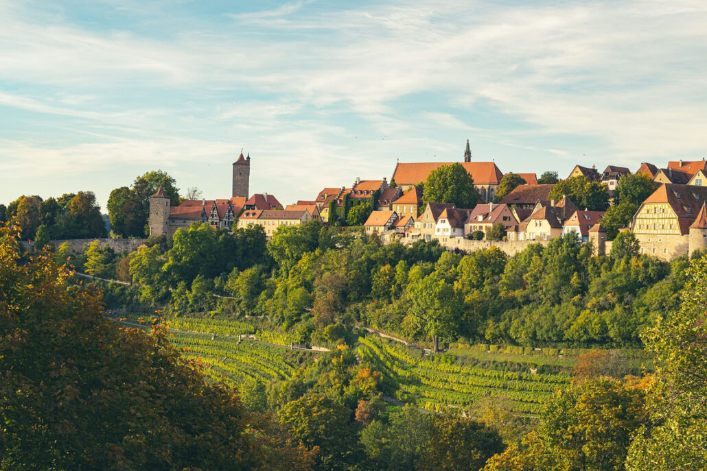 Weinberge und Bick auf Stadt Rothenburg